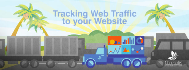 Tracking Web Traffic to Your Website